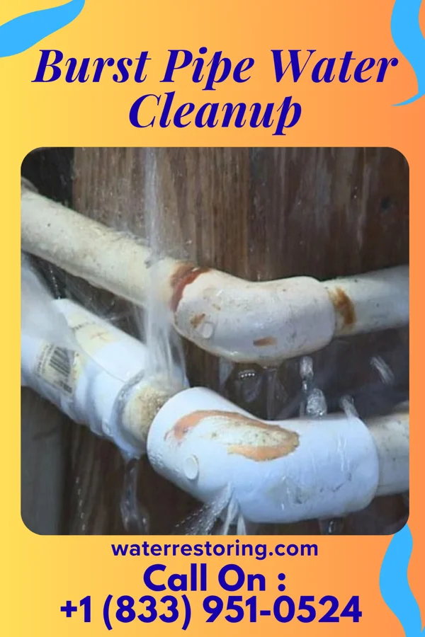Burst Pipe Water Cleanup in Churdan, IA
