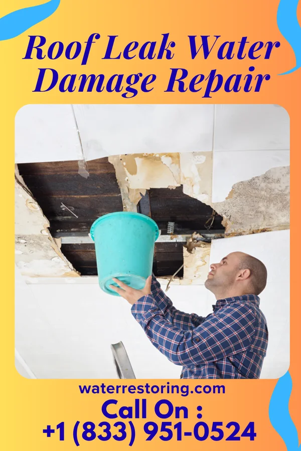 Roof Leak Water Damage Repair in Churdan, IA